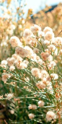 jose-hernandez-uribe-JCKYmoKqvzY-unsplash